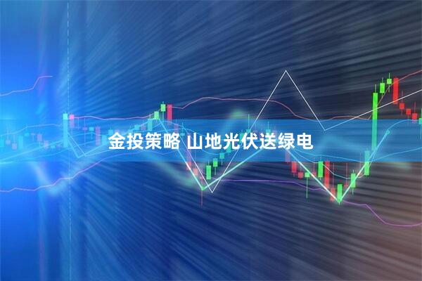 金投策略 山地光伏送绿电