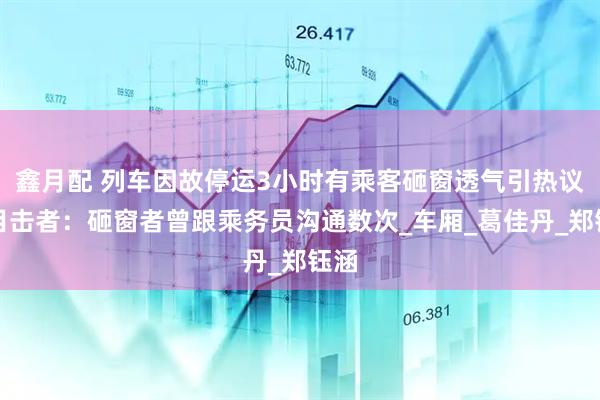 鑫月配 列车因故停运3小时有乘客砸窗透气引热议，目击者：砸窗者曾跟乘务员沟通数次_车厢_葛佳丹_郑钰涵