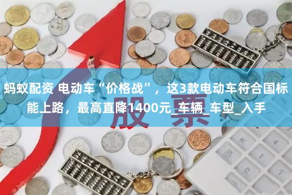 蚂蚁配资 电动车“价格战”，这3款电动车符合国标能上路，最高直降1400元_车辆_车型_入手