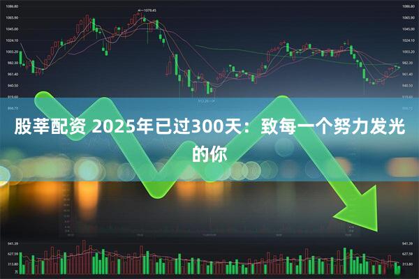 股莘配资 2025年已过300天：致每一个努力发光的你