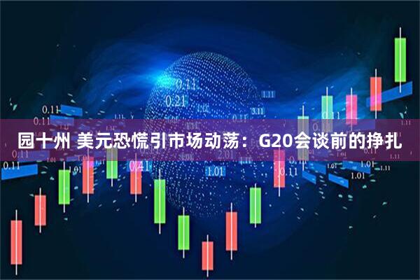 园十州 美元恐慌引市场动荡：G20会谈前的挣扎